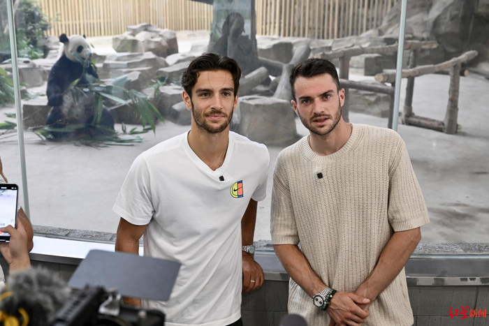 对手不会束 对手不会束