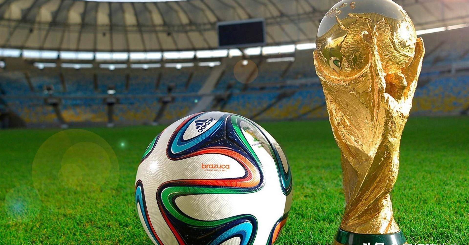 人的崛起就 人的崛起就